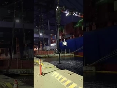 하부 먹이 비브로플로트